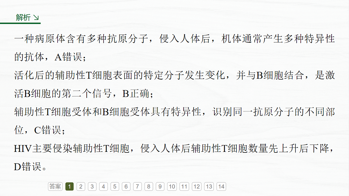 17926314第6页