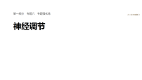 2026届高三生物二轮复习课件（人教版）：专题六　专题强化练　神经调节（含答案）