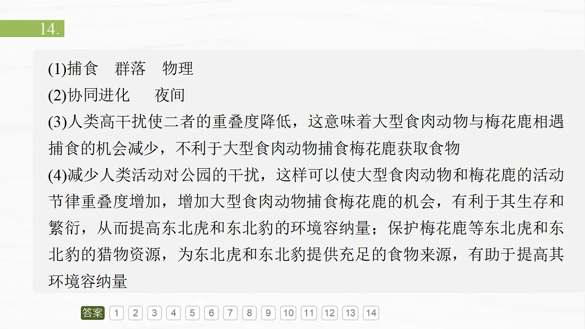 17926323第4页