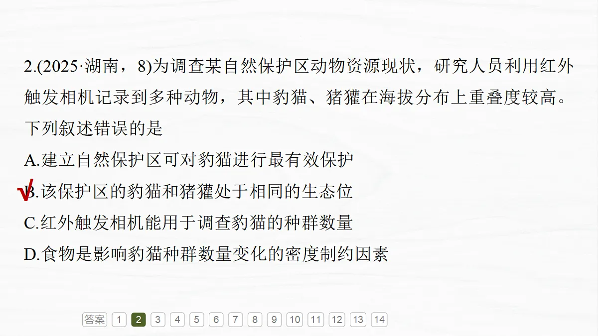 17926323第7页