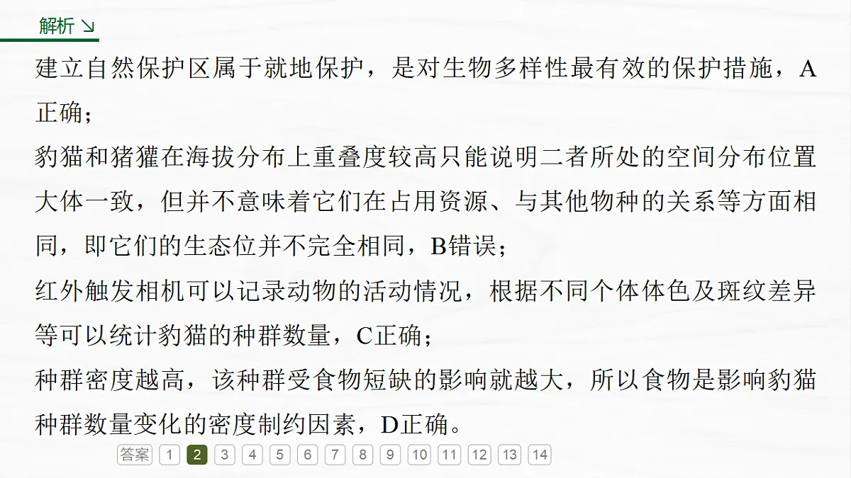 17926323第8页