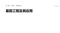 2026届高三生物二轮复习课件（人教版）：专题八　专题强化练　基因工程及其应用（含答案）