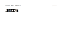 2026届高三生物二轮复习课件（人教版）：专题八　专题强化练　细胞工程（含答案）
