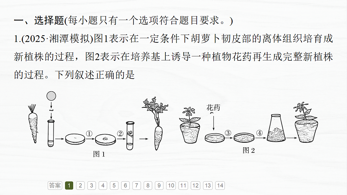 17926330第4页