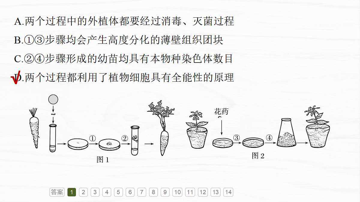 17926330第5页