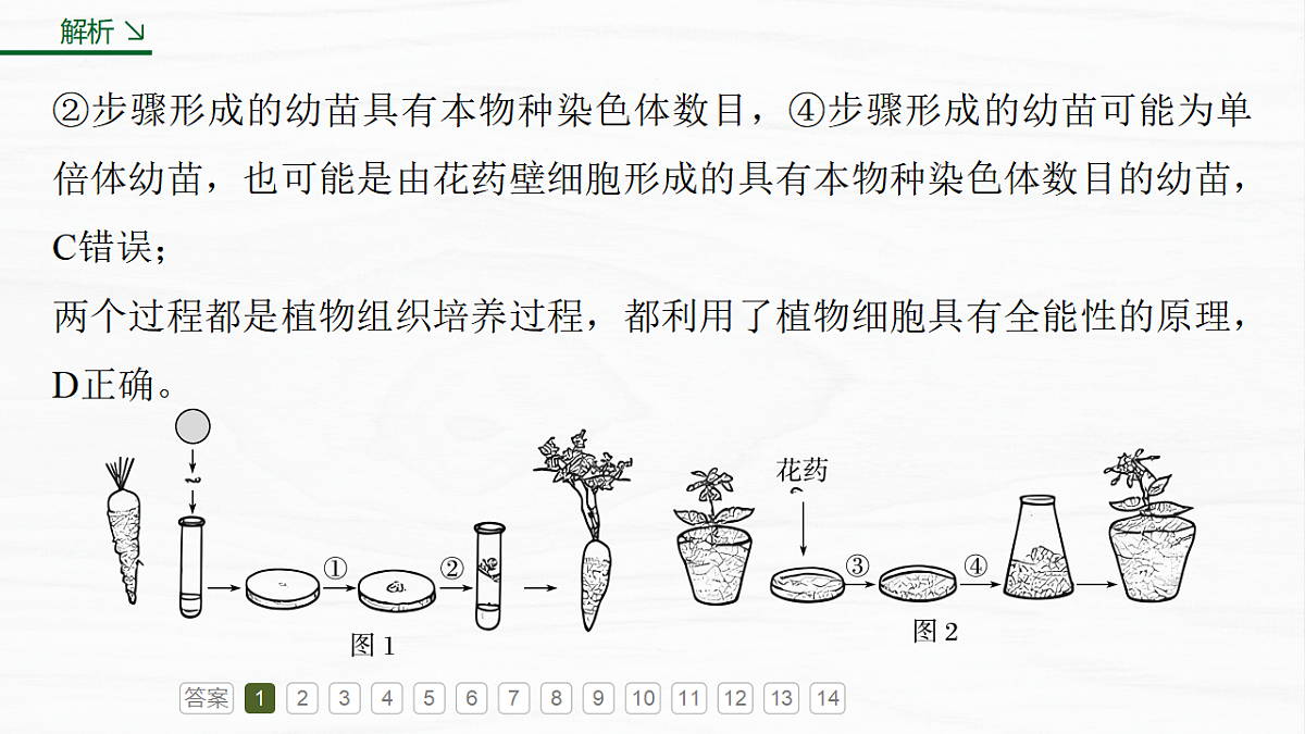 17926330第7页
