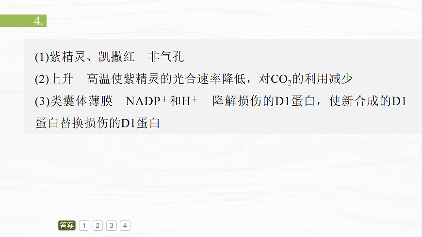 17926338第7页