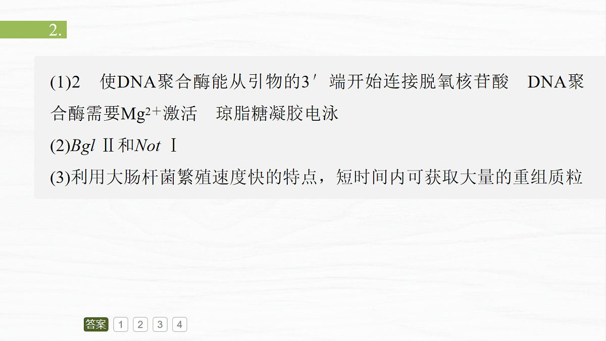 17926342第4页