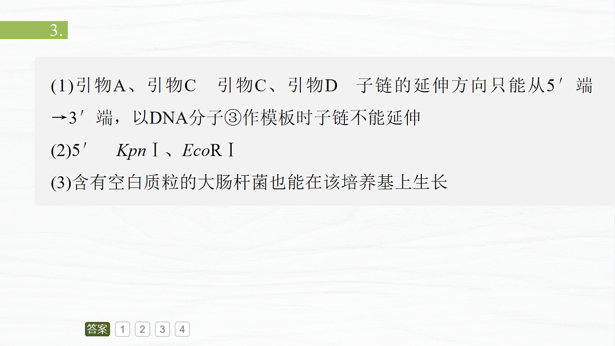 17926342第5页