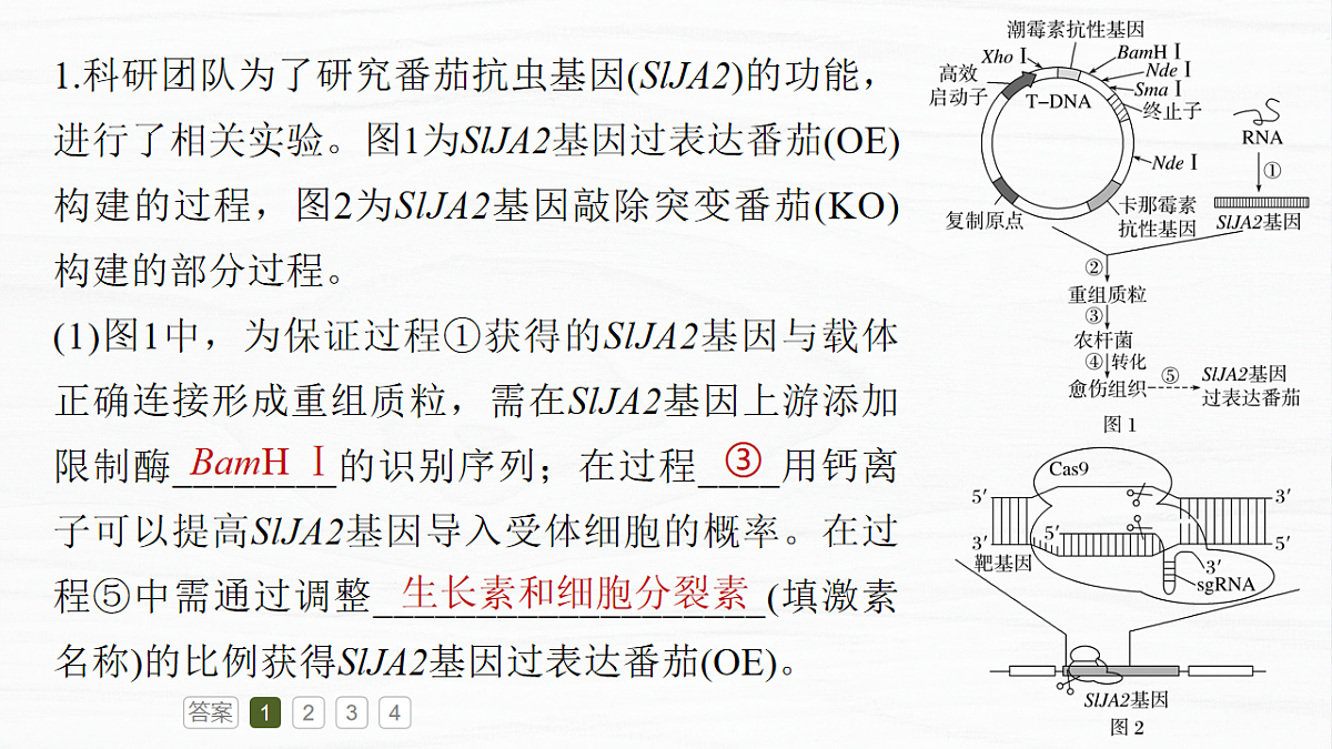 17926342第7页