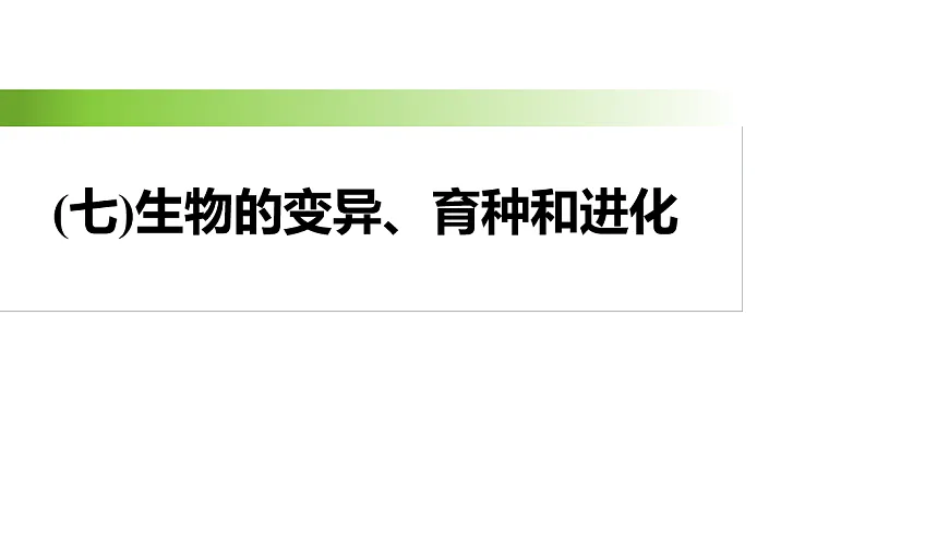 17926350第2页