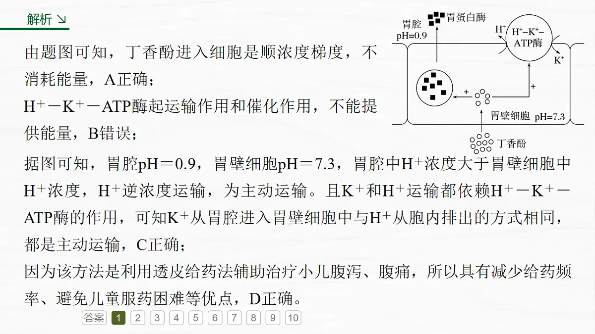 17926355第5页