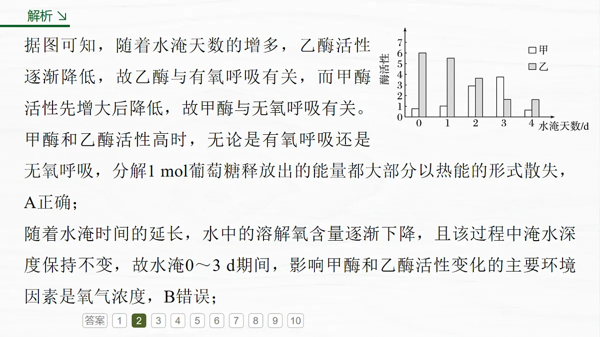 17926355第7页