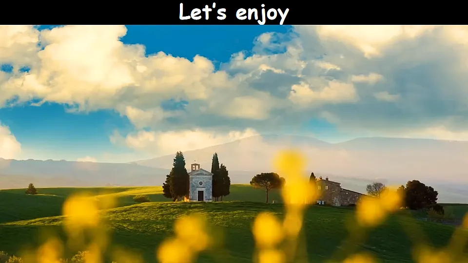 17926484第3页