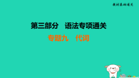 辽宁省2025中考英语教材基础通关专题九代词课件人教版（2024）（含答案）