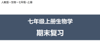 期末复习 课件 2025-2026学年人教版生物七年级上册