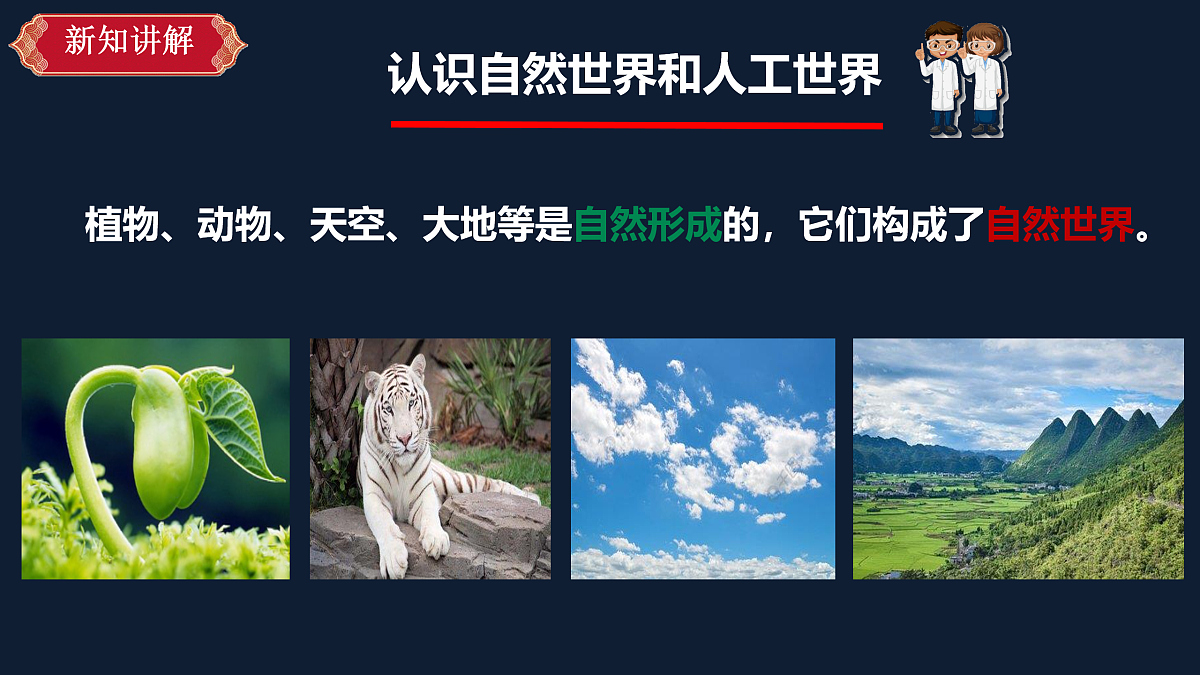 离不开的自然世界第5页
