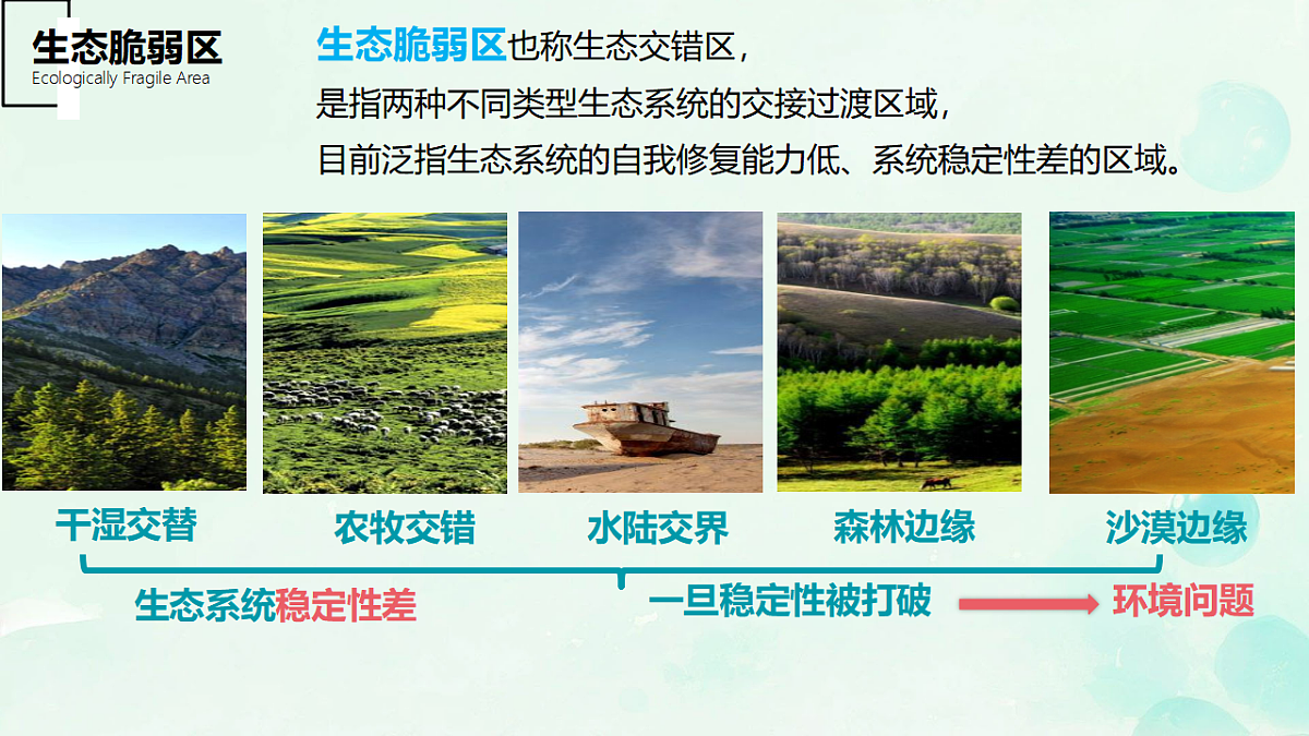 17935456第3页