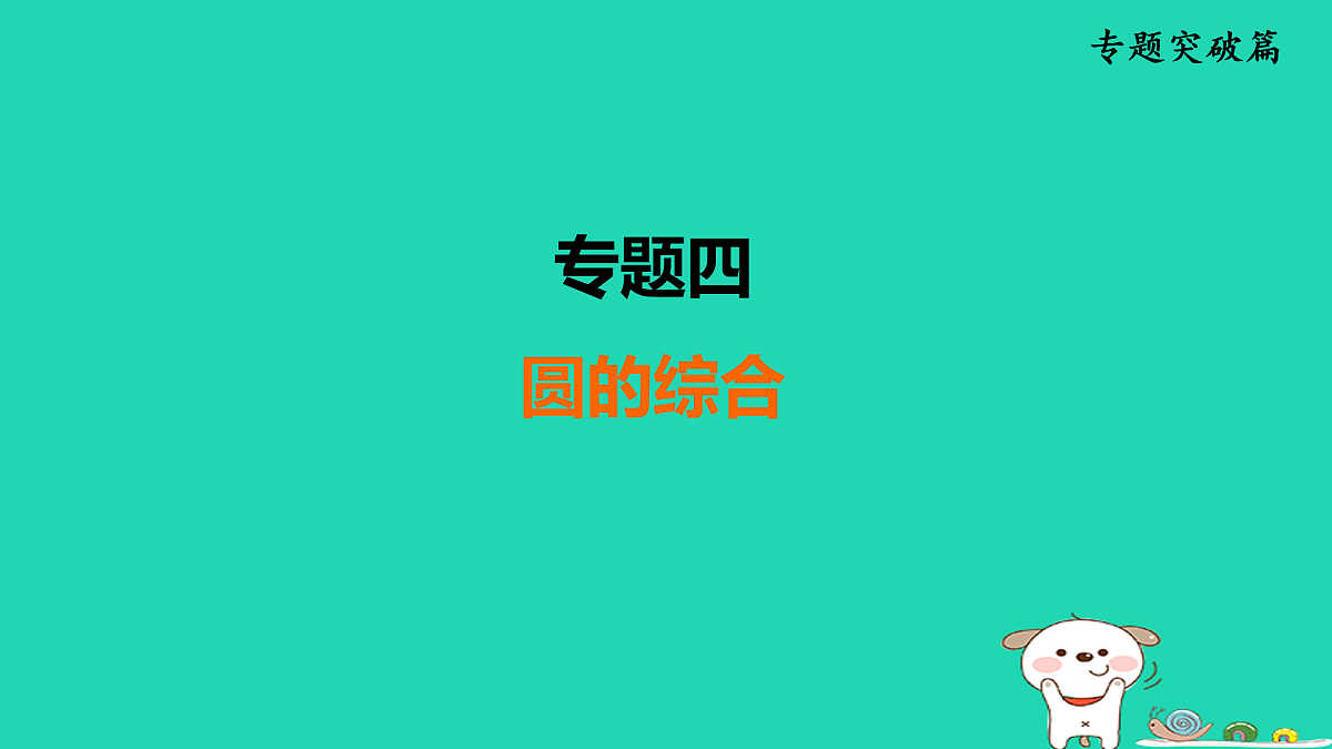 专题4 圆的综合第1页