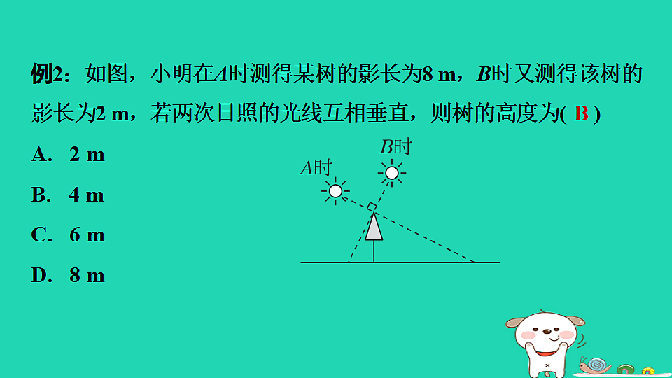 17936746第5页