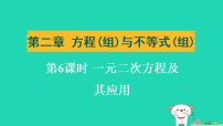 辽宁省2025中考数学第二章方程组与不等式组第六课时一元二次方程及其应用练课件人教版（2024）（含答案）