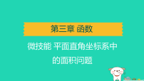 辽宁省2025中考数学第三章函数微技能平面直角坐标系中的面积问题讲课件人教版（2024）（含答案）