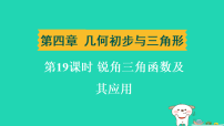 辽宁省2025中考数学第四章几何初步与三角形第十九课时锐角三角函数及其应用练课件人教版（2024）（含答案）