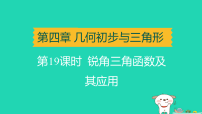 辽宁省2025中考数学第四章几何初步与三角形第十九课时锐角三角函数及其应用讲课件人教版(2024)(含答案)