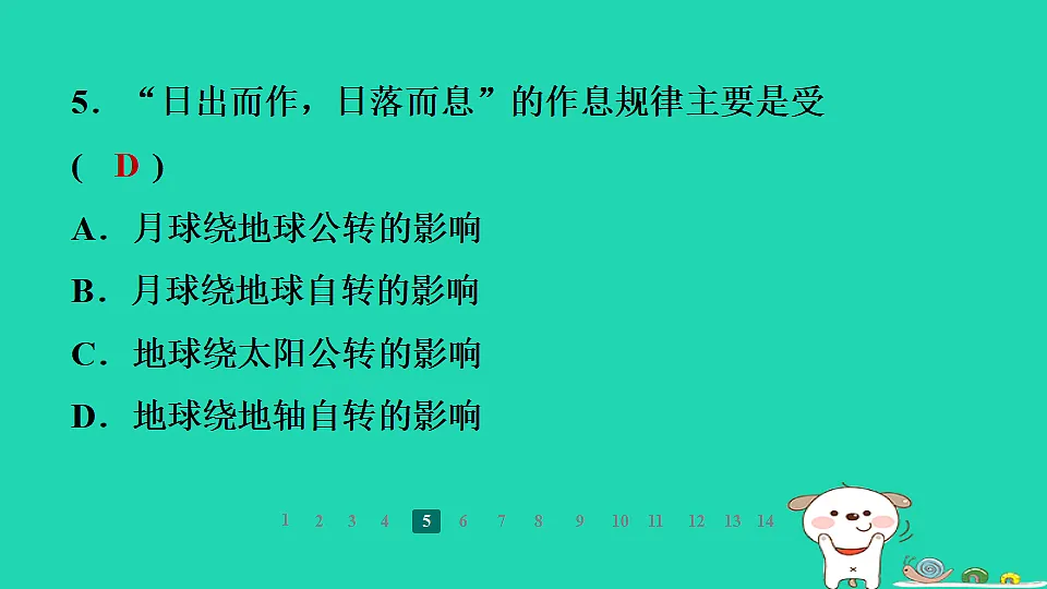 17938828第8页