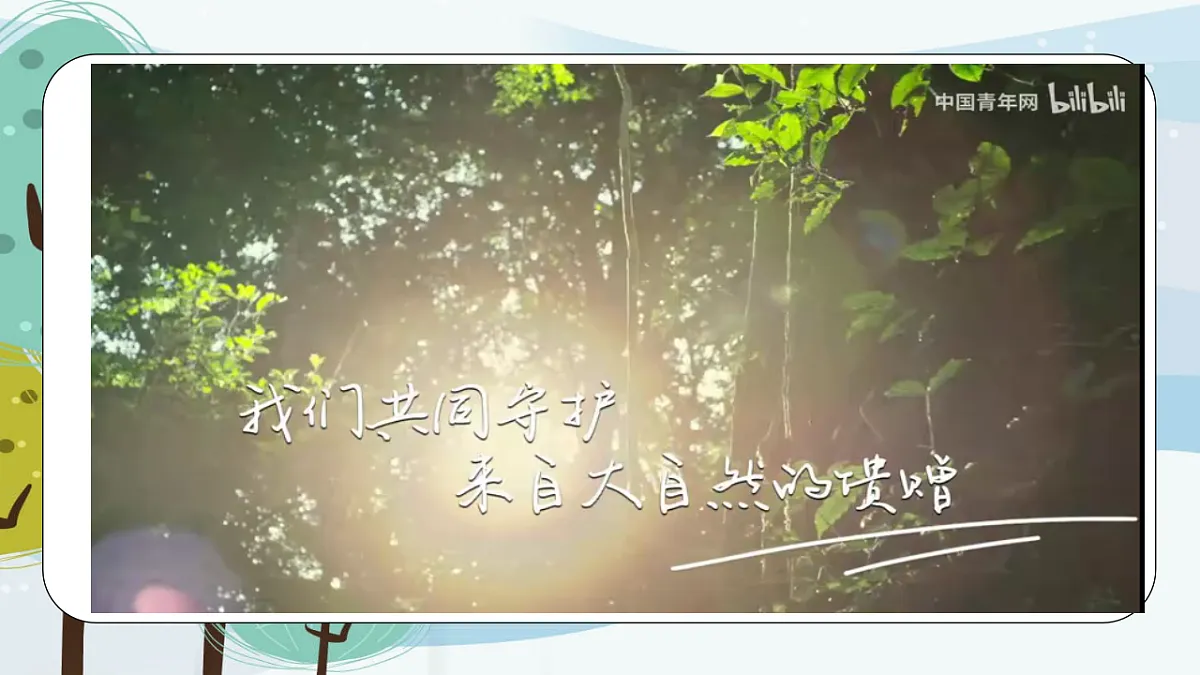 绿水青山:守护中华生态之美第4页