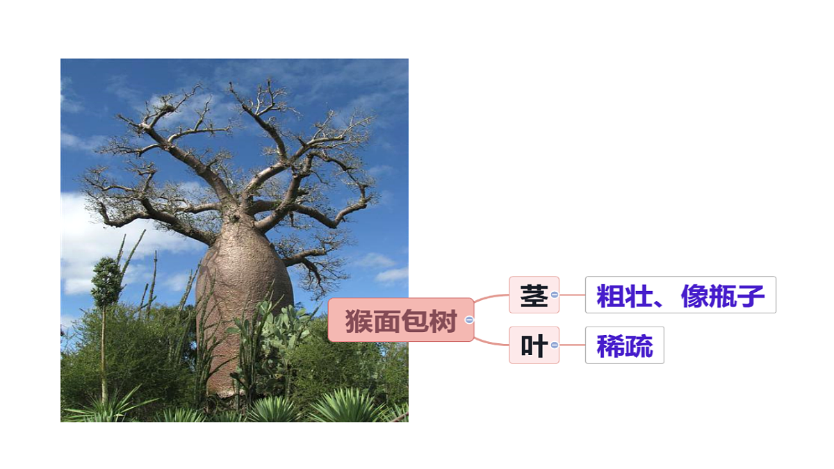 17942006第3页