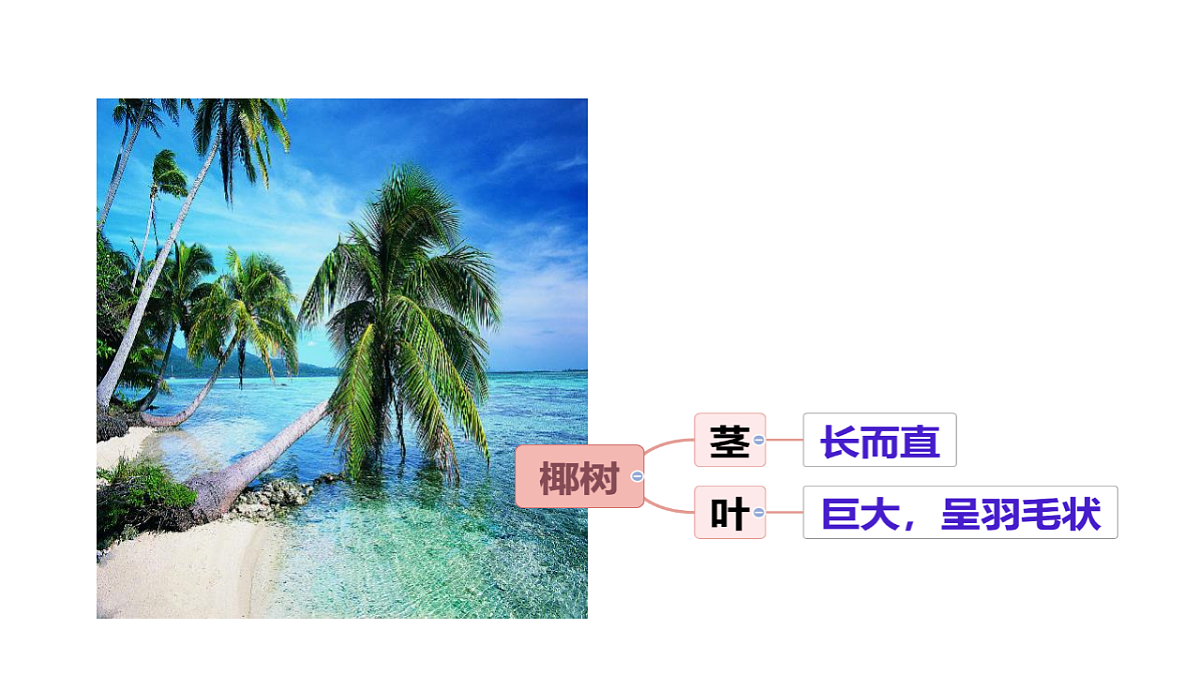 17942006第5页