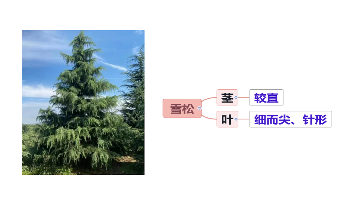 17942006第6页