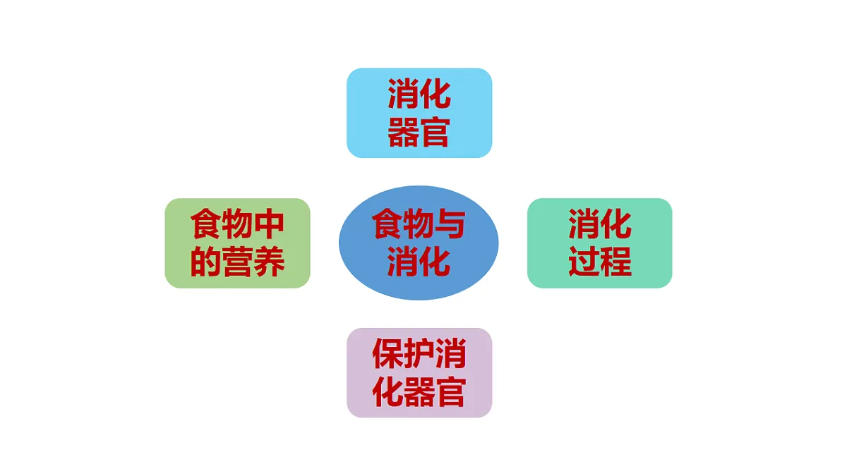 17946403第2页