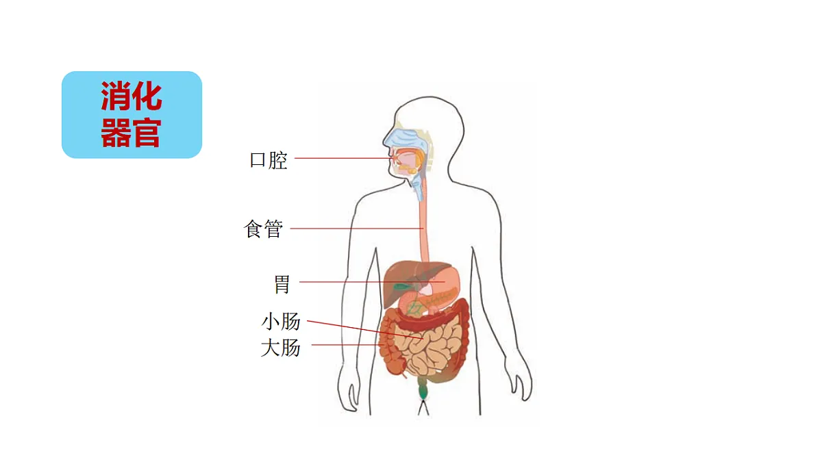 17946403第4页