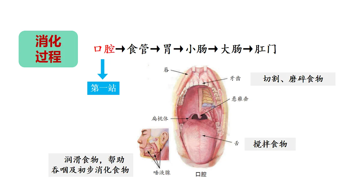 17946403第5页