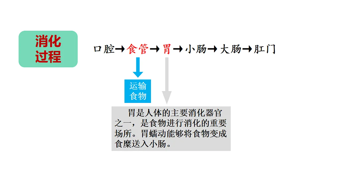 17946403第6页