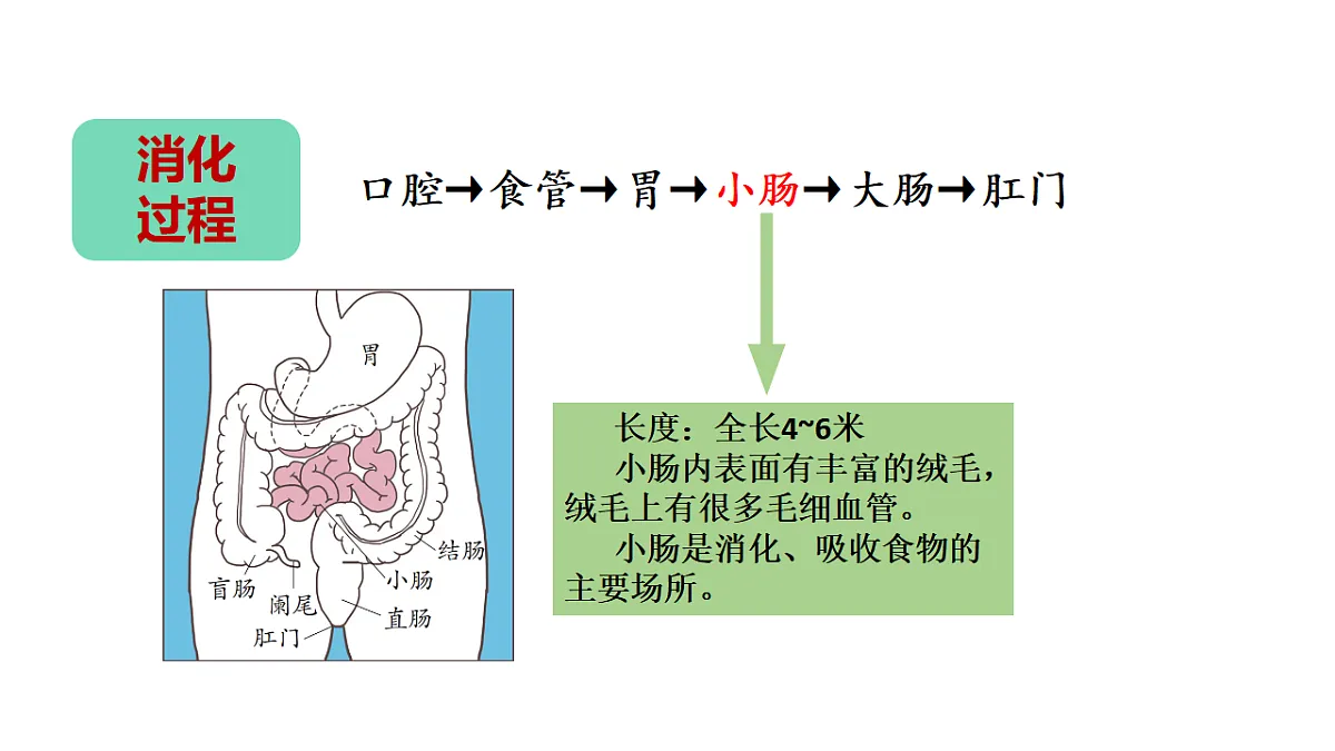 17946403第7页