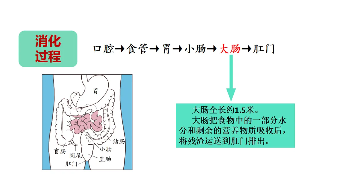17946403第8页