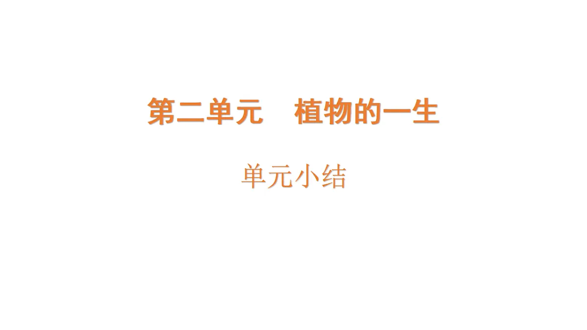 17946404第1页