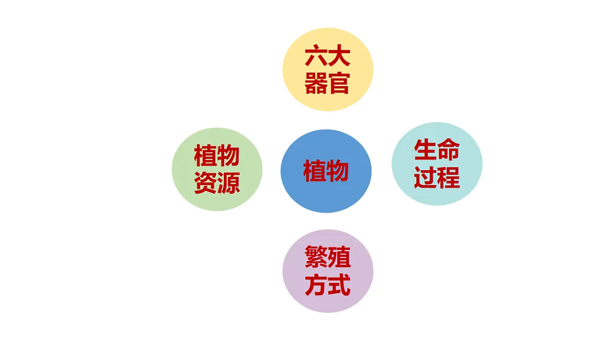 17946404第2页