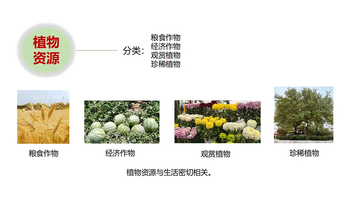 17946404第3页