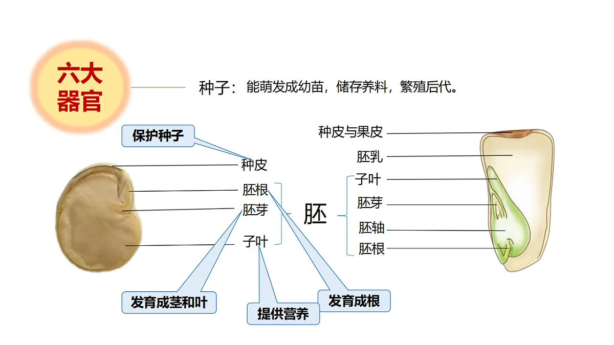 17946404第4页
