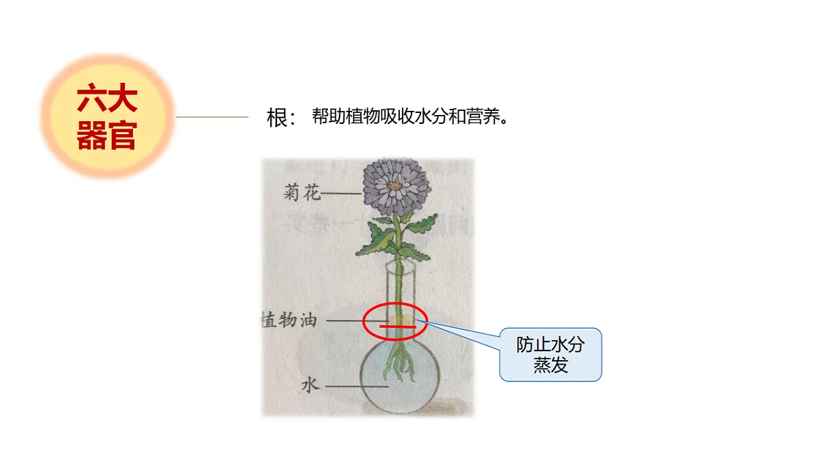 17946404第5页
