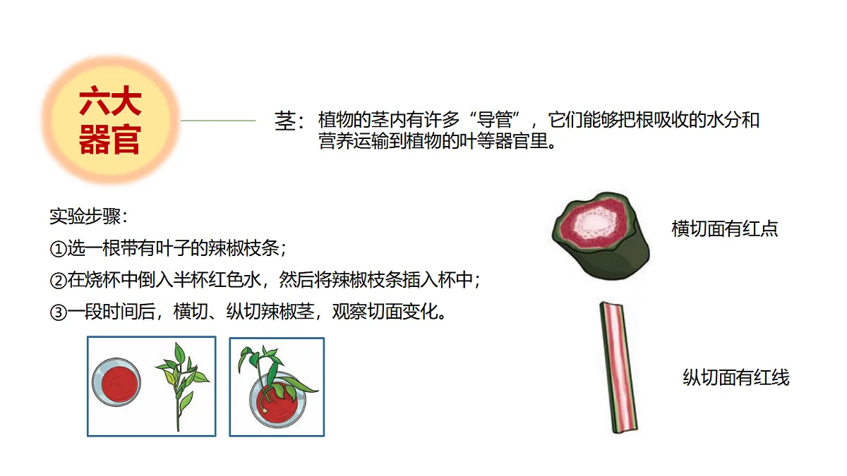 17946404第6页