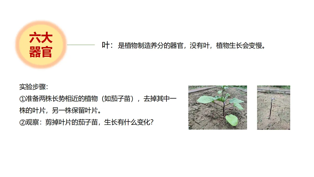 17946404第7页