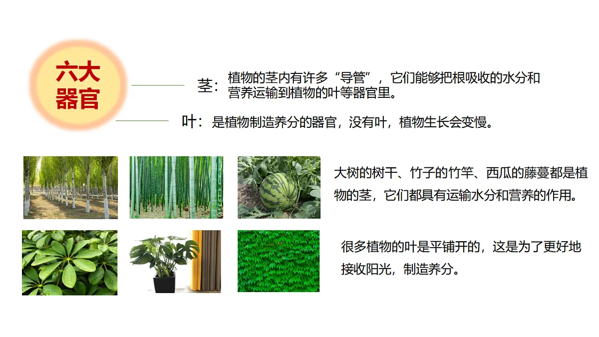 17946404第8页