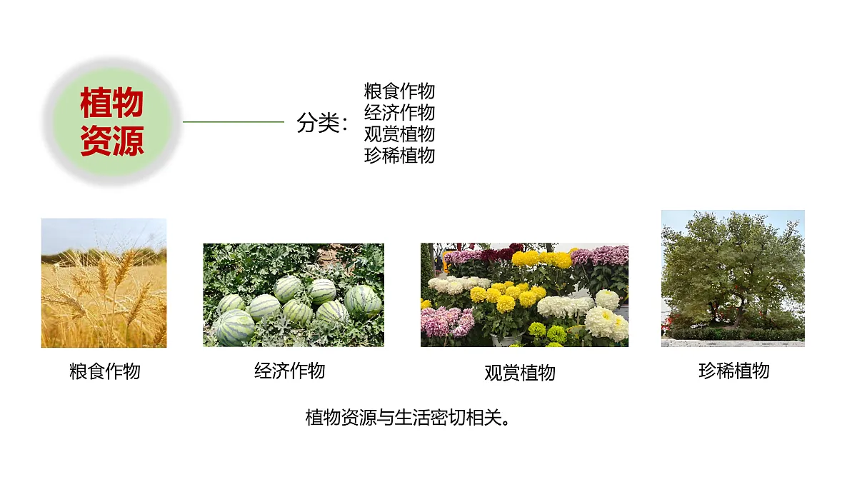 17946405第3页