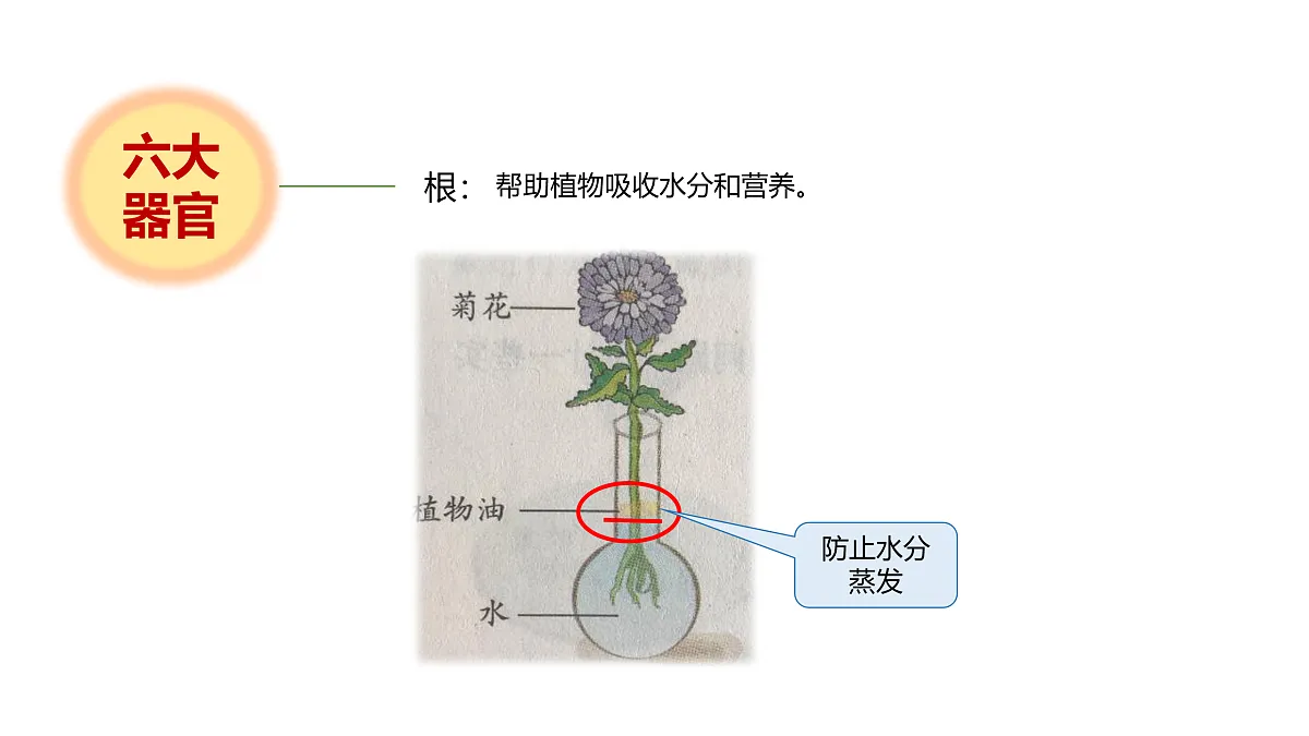 17946405第5页