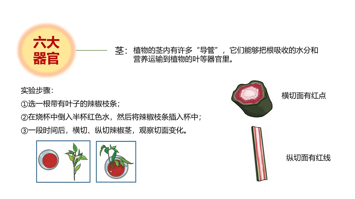 17946405第6页